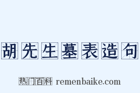 胡先生墓表造句是什么意思的图片